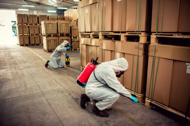 Best Pest Control for Restaurants  in White Oak, MD