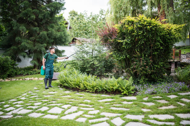 Trusted White Oak, MD Pest Control Experts
