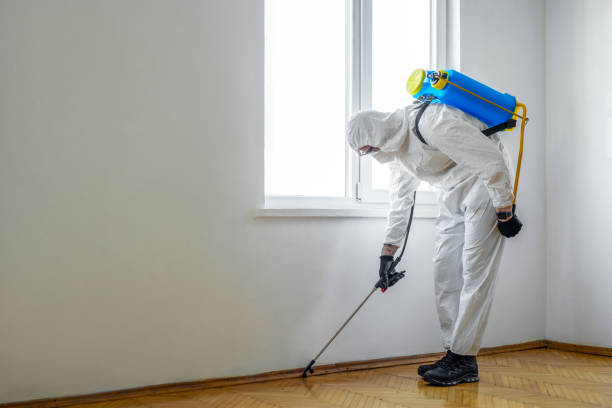 Pest Prevention Services in White Oak, MD