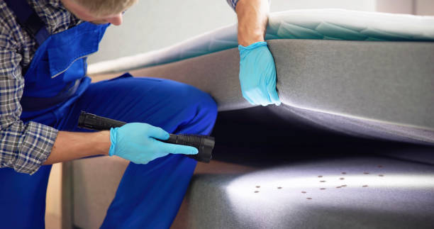 Best Pest Removal Services  in White Oak, MD