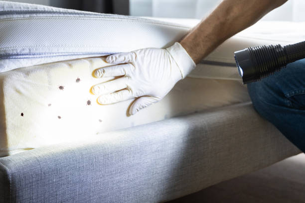 Best Commercial Pest Control Services  in White Oak, MD
