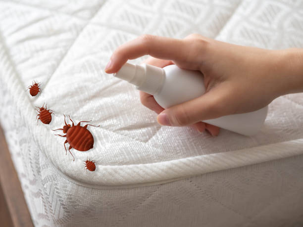 Best Pest Inspection Near Me  in White Oak, MD