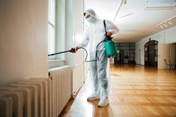 Best Pest Control Near Me  in White Oak, MD