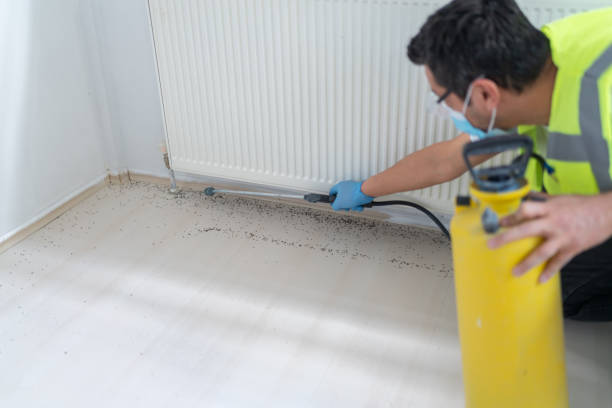 Best Pest Control Near Me in White Oak, MD